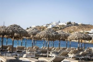 Asteri_travel_packages_in_Cyclades Islands_Mykonos_Ornos