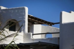 Asteri_accommodation_in_Hotel_Cyclades Islands_Mykonos_Ornos