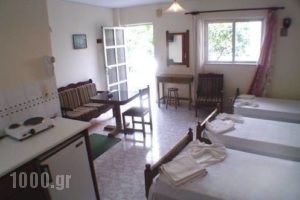 Galaxy_lowest prices_in_Hotel_Dodekanessos Islands_Kos_Kos Chora