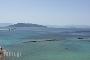 Areti_best deals_Hotel_Piraeus Islands - Trizonia_Aigina_Agia Marina