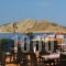 Hippocampus_accommodation_in_Hotel_Piraeus Islands - Trizonia_Aigina_Perdika