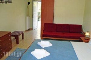 Xenonas Paradosi_best prices_in_Apartment_Epirus_Thesprotia_Igoumenitsa