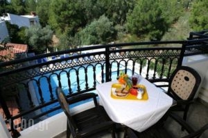 Sirines_best prices_in_Apartment_Aegean Islands_Thasos_Potos
