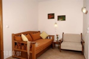 Sirines_best deals_Apartment_Aegean Islands_Thasos_Potos