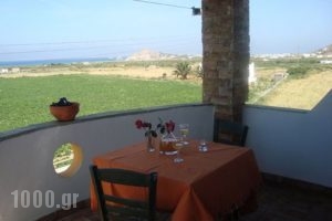 Manolis Studios_lowest prices_in_Apartment_Cyclades Islands_Naxos_Mikri Vigla