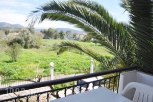 Digenis Studios_best deals_Apartment_Ionian Islands_Lefkada_Lefkada Rest Areas