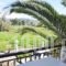 Digenis Studios_best deals_Apartment_Ionian Islands_Lefkada_Lefkada Rest Areas