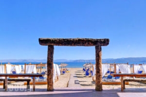 Island Beach Resort_best deals_Hotel_Ionian Islands_Corfu_Kavos