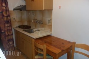 Pinelopi_best prices_in_Apartment_Central Greece_Evia_Edipsos