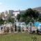 Apartments Seagull_best deals_Apartment_Dodekanessos Islands_Kos_Kos Chora