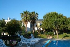 Apartments Seagull_lowest prices_in_Apartment_Dodekanessos Islands_Kos_Kos Chora