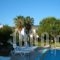 Apartments Seagull_lowest prices_in_Apartment_Dodekanessos Islands_Kos_Kos Chora