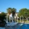 Apartments Seagull_lowest prices_in_Apartment_Dodekanessos Islands_Kos_Kos Chora