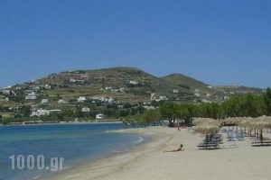 Siren Hotel_accommodation_in_Apartment_Cyclades Islands_Paros_Piso Livadi