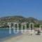Siren Hotel_accommodation_in_Apartment_Cyclades Islands_Paros_Piso Livadi