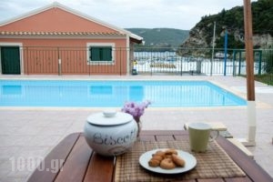 Akis_accommodation_in_Apartment_Ionian Islands_Corfu_Palaeokastritsa