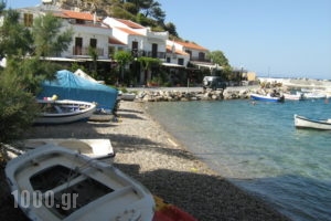 Aphrodite_accommodation_in_Room_Aegean Islands_Samos_Kokkari