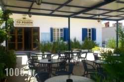 Rodon in Salamina Rest Areas, Salamina, Piraeus Islands - Trizonia