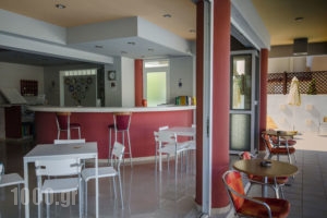 Graziella Apartments_holidays_in_Apartment_Dodekanessos Islands_Rhodes_Ialysos