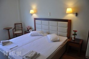 Elena_best prices_in_Hotel_Central Greece_Fthiotida_Atalanti