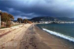 Katerina_accommodation_in_Hotel_Cyclades Islands_Paros_Piso Livadi