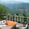 Guesthouse Kallisti_best deals_Apartment_Thessaly_Magnesia_Anilio