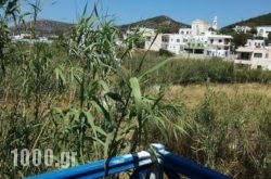 Aegialis in Galissas, Syros, Cyclades Islands