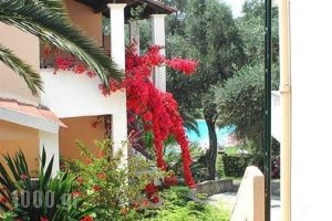 Olga's_best prices_in_Apartment_Ionian Islands_Corfu_Sidari