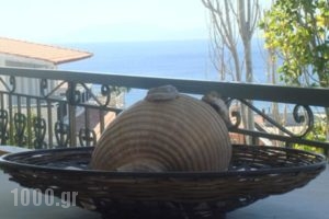 Demina Studios_holidays_in_Hotel_Aegean Islands_Lesvos_Plomari