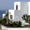 Ariti Apartments_holidays_in_Apartment_Cyclades Islands_Paros_Naousa