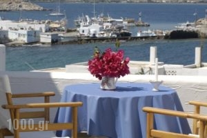 Ariti Apartments_accommodation_in_Apartment_Cyclades Islands_Paros_Naousa