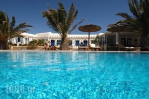 Petinaros Hotel_travel_packages_in_Cyclades Islands_Mykonos_Mykonos Chora