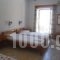 Kallirroi Studios_best deals_Apartment_Aegean Islands_Samos_Pythagorio