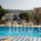 Angelos Studios_travel_packages_in_Dodekanessos Islands_Kos_Kos Chora