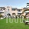 Liana_best deals_Hotel_Cyclades Islands_Naxos_Agios Prokopios