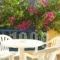Orfeas Apartments_lowest prices_in_Apartment_Cyclades Islands_Sandorini_kamari