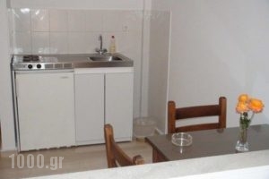 Filoxenia Hotel & Apartments_accommodation_in_Apartment_Ionian Islands_Kefalonia_Poros