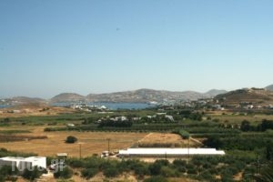 Mirsini Studios_best deals_Apartment_Cyclades Islands_Paros_Paros Chora