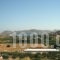 Mirsini Studios_best deals_Apartment_Cyclades Islands_Paros_Paros Chora