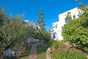 Guesthouse Perdikouli_best prices_in_Room_Cyclades Islands_Paros_Alyki