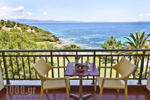 Barbagiannis House_best prices_in_Apartment_Macedonia_Halkidiki_Ormos Panagias