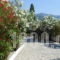 Ziogas Apartments_travel_packages_in_Ionian Islands_Corfu_Kato Korakiana