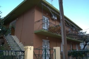 Ifigenia Markatou_holidays_in_Apartment_Ionian Islands_Kefalonia_Poros