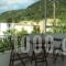 Yasemi Rooms & Studios_best prices_in_Room_Ionian Islands_Lefkada_Vasiliki