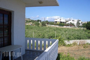 Olympia_lowest prices_in_Room_Crete_Chania_Stalos