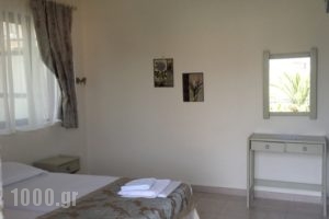 Yasemi Rooms & Studios_best deals_Room_Ionian Islands_Lefkada_Vasiliki