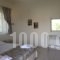 Yasemi Rooms & Studios_best deals_Room_Ionian Islands_Lefkada_Vasiliki