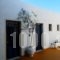 Delfini Hotel_holidays_in_Hotel_Dodekanessos Islands_Patmos_Skala