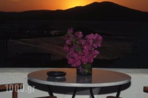 Despina's Rooms And Apartments_lowest prices_in_Room_Cyclades Islands_Paros_Naousa