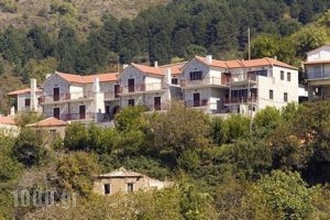 Meterizi_holidays_in_Apartment_Peloponesse_Lakonia_Sarti